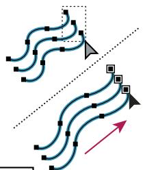 ADOBE ILLUSTRATOR CS4 - Collection d'outils de remodelage - 9