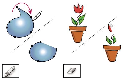 ADOBE ILLUSTRATOR CS4 - Effacement de l'illustration - 1