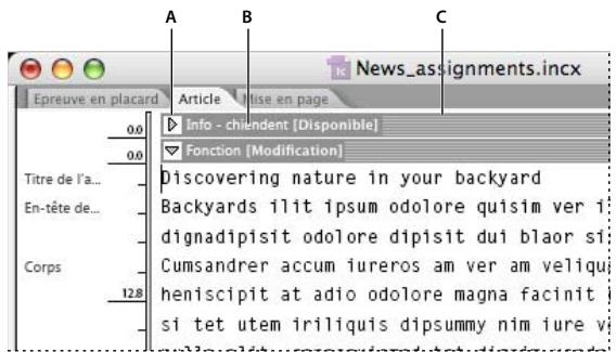 ADOBE INCOPY CS3 - Utilisation de fichiers à plusieurs articles - 1