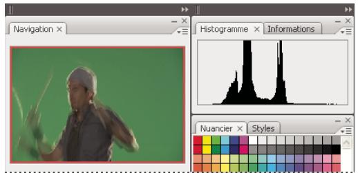 ADOBE INCOPY CS3 - Pour ancrer et détacher des panneaux - 2
