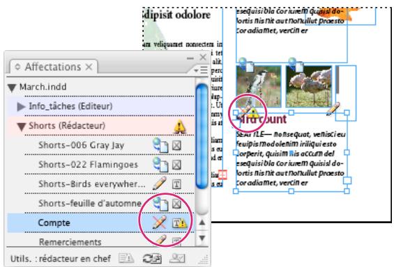ADOBE INCOPY CS5 - Mise à jour de contenu - 1
