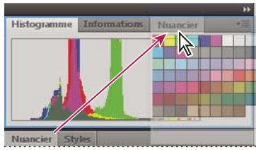 ADOBE INCOPY CS5 - Manipulation de groupes de panneaux - 1