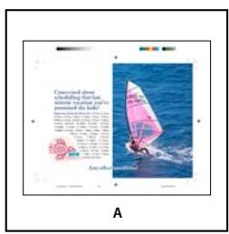 ADOBE INCOPY CS5 - Options d'importation Acrobat (.pdf) et Illustrator (.ai) - 2