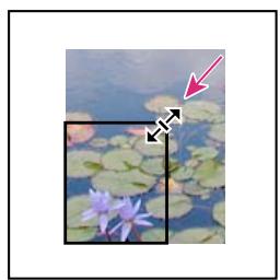 ADOBE INDESIGN CS3 - Recadrage ou masquage d'objets - 1