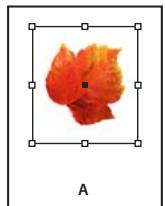 ADOBE INDESIGN CS3 - Creation d'une cordure ou d'un arrêté-plan - 1