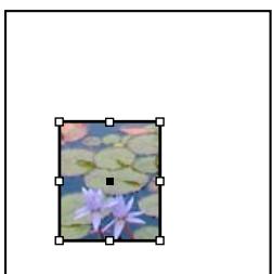 ADOBE INDESIGN CS3 - Recadrage ou masquage d'objets - 2
