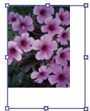 ADOBE INDESIGN CS3 - Redimensionnement d'objects - 2