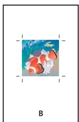 ADOBE INDESIGN CS3 - Spécification de la taille de papier et de l'orientation de la page - 2
