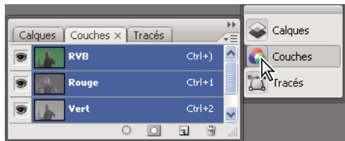 ADOBE INDESIGN CS3 - Pour manipuler des panneaux réduits à la taille d'icones - 2