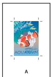 ADOBE INDESIGN CS3 - Spécification de la taille de papier et de l'orientation de la page - 1