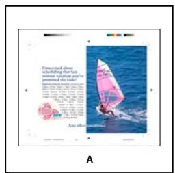 ADOBE INDESIGN CS3 - Options d'importation de fichiers Acrobat (.pdf) - 1