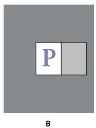ADOBE INDESIGN CS3 - Aperçu des documents - 2