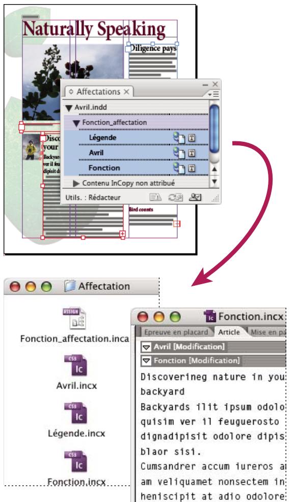 ADOBE INDESIGN CS3 - Ouverture de fichiers d'affection créés dans InDesign - 1