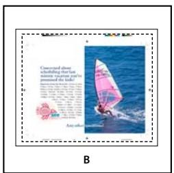 ADOBE INDESIGN CS3 - Options d'importation de fichiers Acrobat (.pdf) - 2