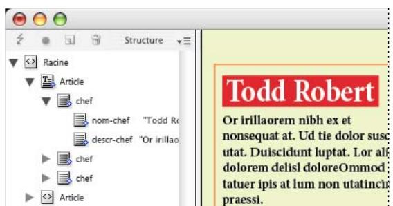 ADOBE INDESIGN CS3 - Mise en page du contenu - 2