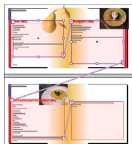 ADOBE INDESIGN CS3 - Traitement des données qui se repètent - 2