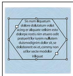 ADOBE INDESIGN CS3 - Galerie d'outils de dessin et de texte - 13