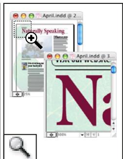 ADOBE INDESIGN CS3 - Galerie d'outils de modification et de navigation - 7