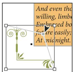 ADOBE INDESIGN CS3 - Recouvrement des images vectorielles - 1