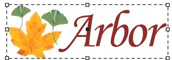 ADOBE INDESIGN CS3 - Association ou dissociation d'objects - 1