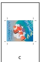 ADOBE INDESIGN CS3 - Spécification de la taille de papier et de l'orientation de la page - 3