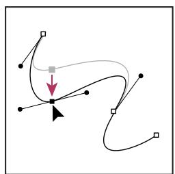 ADOBE INDESIGN CS3 - Réglage de la position ou de la forme des segments courbes - 3