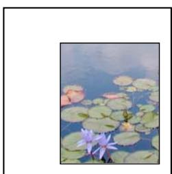 ADOBE INDESIGN CS3 - Déplacement d'un bloc graphique ou de son contenu - 3