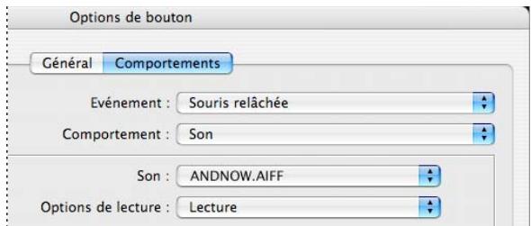 ADOBE INDESIGN CS3 - Creation de boutons interactifs - 1
