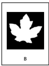 ADOBE INDESIGN CS3 - Recadrage d'un objet à l'aide d'un trace ou d'une couche alpha - 2