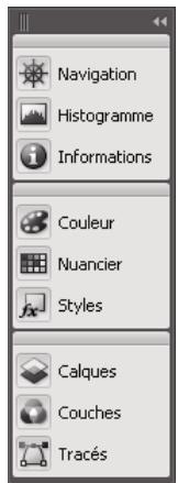 ADOBE INDESIGN CS3 - Pour manipuler des panneaux réduits à la taille d'icones - 1