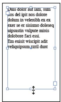 ADOBE INDESIGN CS3 - Pour redimensionner un bloc de texte - 1