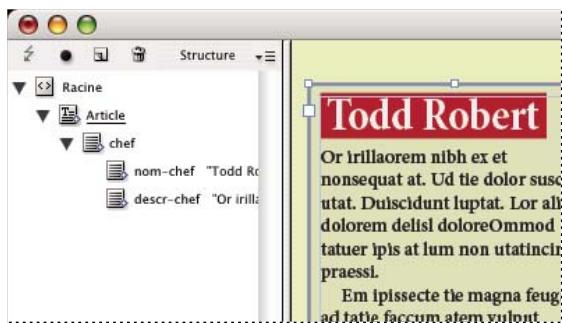 ADOBE INDESIGN CS3 - Mise en page du contenu - 4