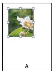 ADOBE INDESIGN CS3 - Ajustement d'un objet à son bloc - 2
