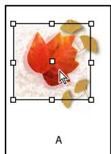 ADOBE INDESIGN CS3 - Pour sélectionner des objets imbriqués, associés ou superposés - 1
