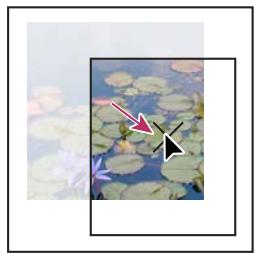 ADOBE INDESIGN CS3 - Déplacement d'un bloc graphique ou de son contenu - 4