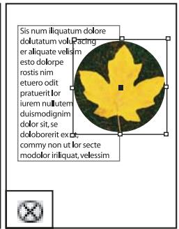 ADOBE INDESIGN CS3 - Galerie d'outils de dessin et de texte - 12