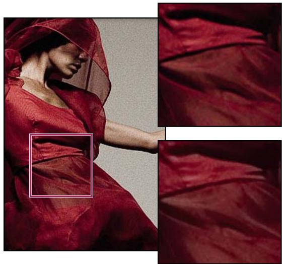 ADOBE LIGHTROOM - Réduction du bruit de l'image - 1