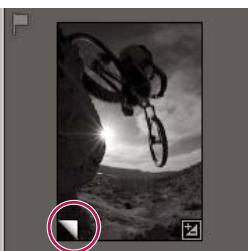 ADOBE LIGHTROOM - Creation de copies virtuelles - 2
