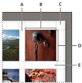 ADOBE LIGHTROOM - Commandes du panneau Disposition - 1