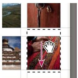 ADOBE LIGHTROOM - Définition de la méthode de replissage des cellules d'image avec les photos - 5