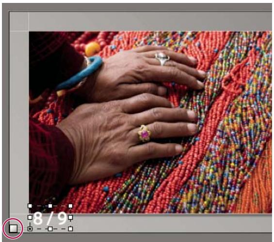 ADOBE LIGHTROOM - Déplacement et rotation de texte et d'autres objets sur une diapositive - 1