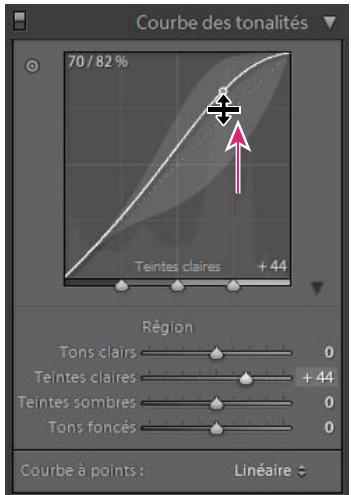 ADOBE LIGHTROOM 2 - Présentation de la courbe des tonalités - 1