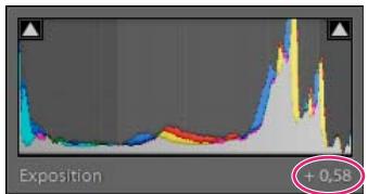 ADOBE LIGHTROOM 2 - Réglage de la plage de tons à l'aide de l'histogramme - 2