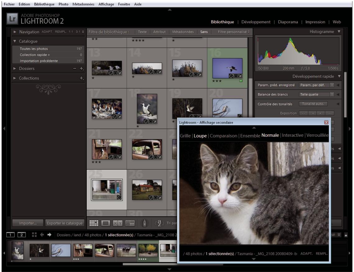 ADOBE LIGHTROOM 2 - Affichage de la bibliothèque sur un second moniteur - 1