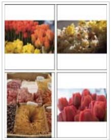 ADOBE LIGHTROOM 2 - Définition de la méthode de replissage des cellules d'image avec les photos - 1