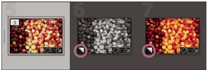 ADOBE LIGHTROOM 2 - Creation de copies virtuelles - 1