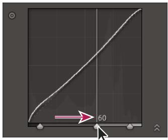 ADOBE LIGHTROOM 2 - Modification des sections de la courbe affectées par les curseurs de zone - 1