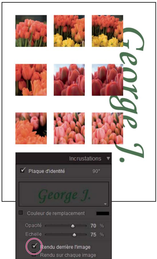 ADOBE LIGHTROOM 2 - Impression de votre plaque d'identité - 1