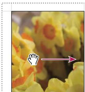 ADOBE LIGHTROOM 2 - Définition de la méthode de replissage des cellules d'image avec les photos - 4