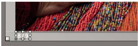 ADOBE LIGHTROOM 2 - Mise à l'échelle du texte et d'autres objets dans une diapositive - 2